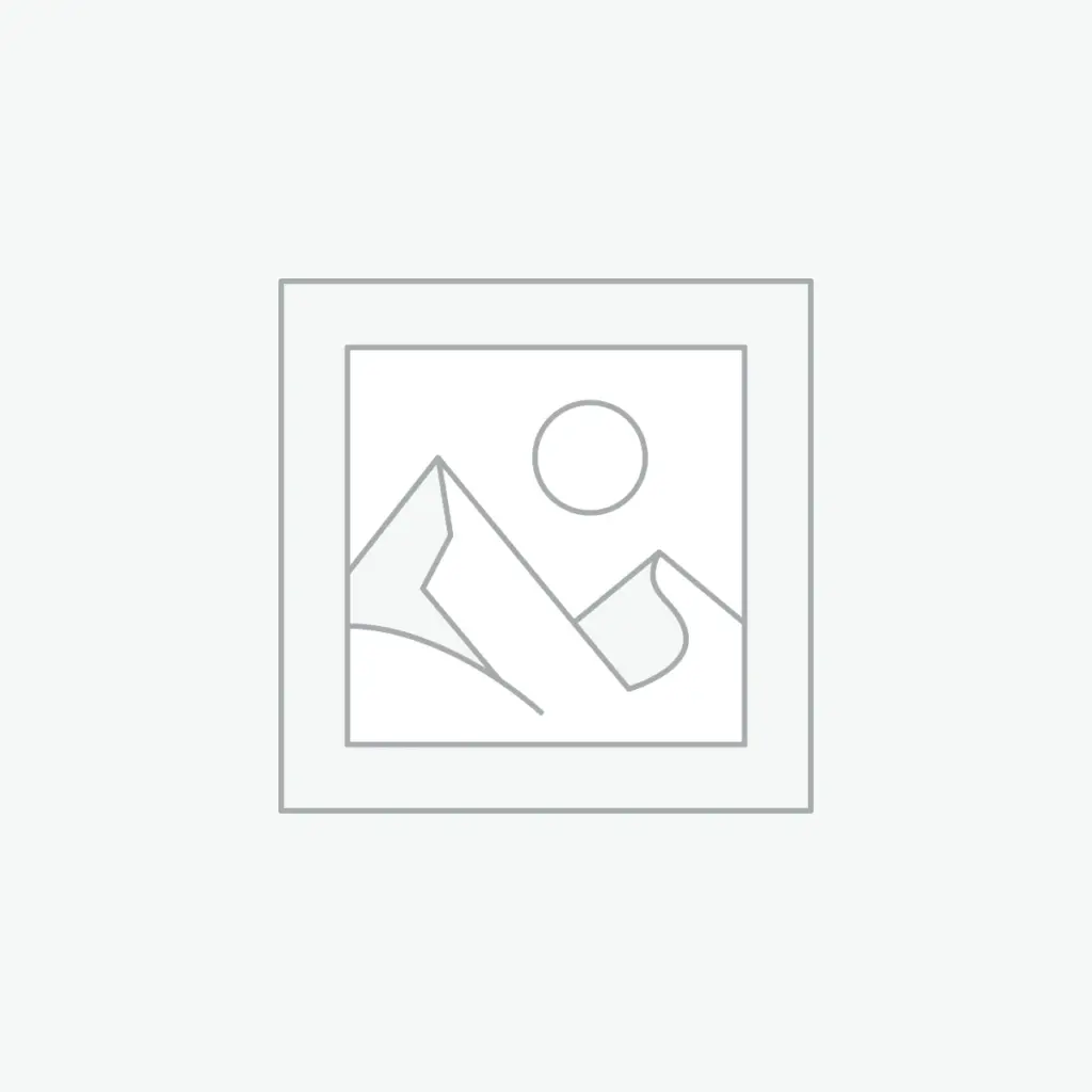 Радиоприёмник Nice FLOX2R внешний 2-канальный